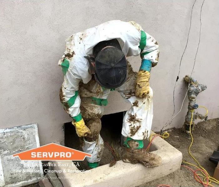 technician in white suit, climbing our of crawlspace